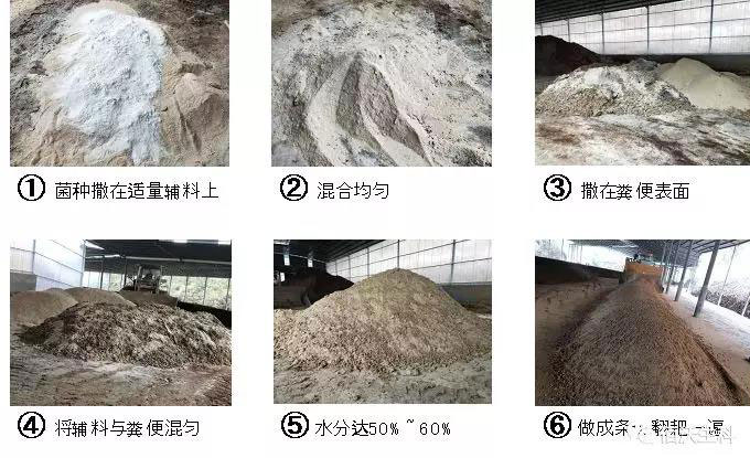 高效有机肥发酵剂(图3)