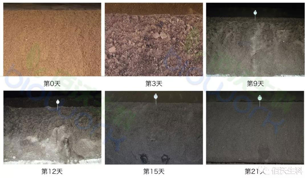 高效有机肥发酵剂(图4)